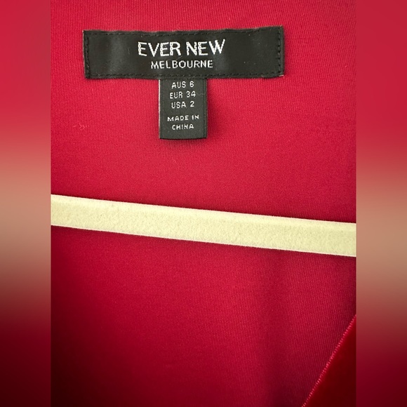 Ever New Evening Velvet Dress in Red US 2 - Picture 4 of 6